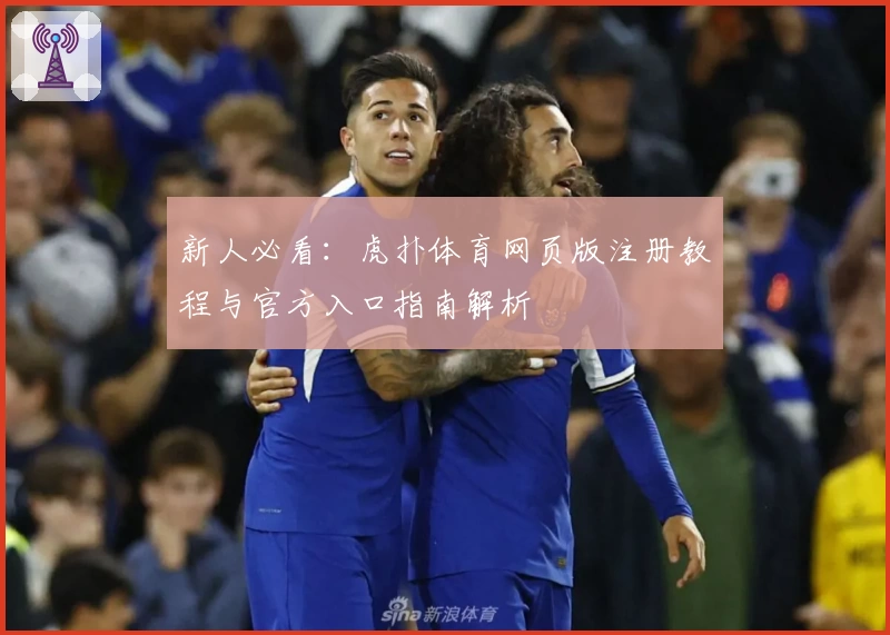 新人必看：虎扑体育网页版注册教程与官方入口指南解析