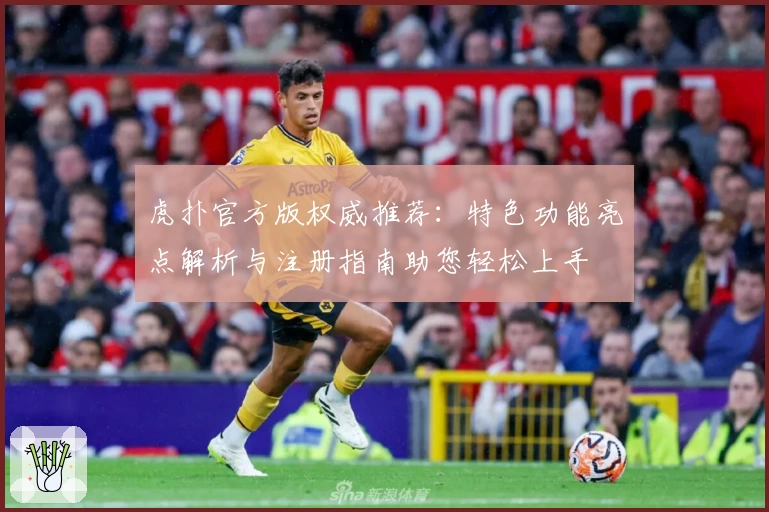 虎扑官方版权威推荐：特色功能亮点解析与注册指南助您轻松上手