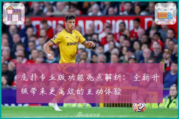虎扑专业版功能亮点解析:全新升级带来更高效的互动体验