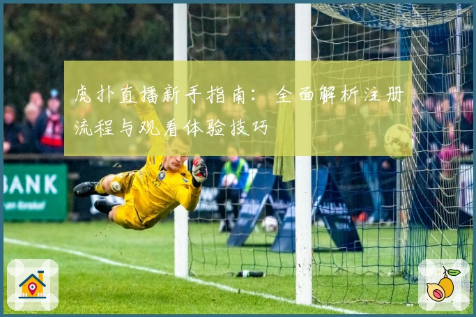 虎扑直播新手指南：全面解析注册流程与观看体验技巧